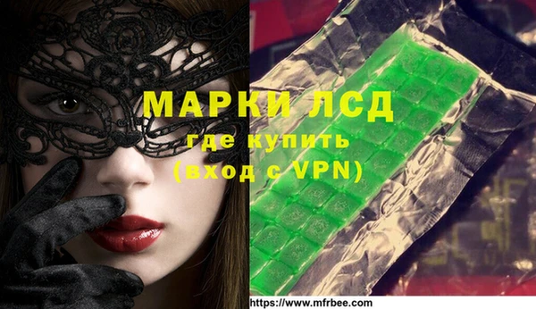 индика Бронницы