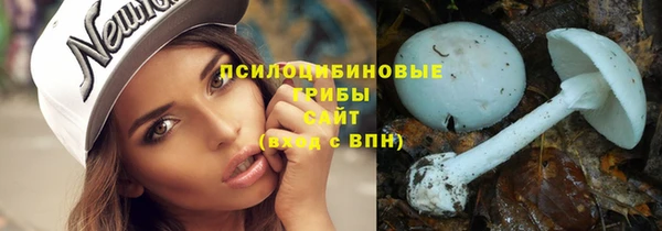 индика Бронницы