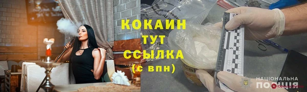 индика Бронницы