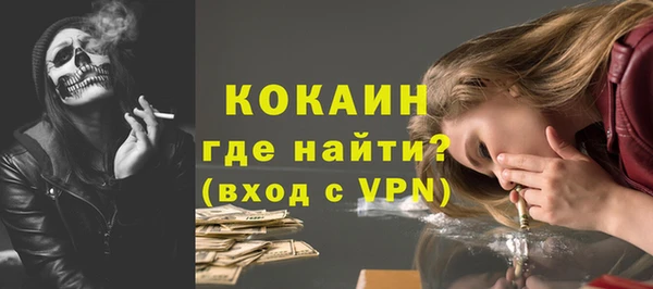 индика Бронницы