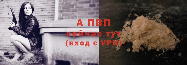 индика Бронницы