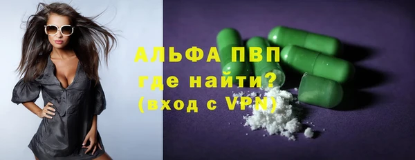 индика Бронницы