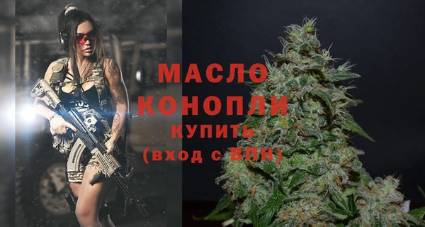 молекула духа Богданович